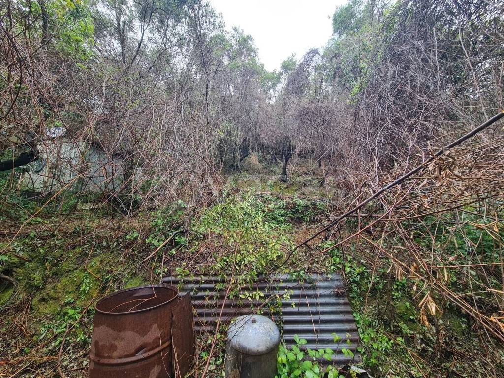 immagine annuncio 3 di 8