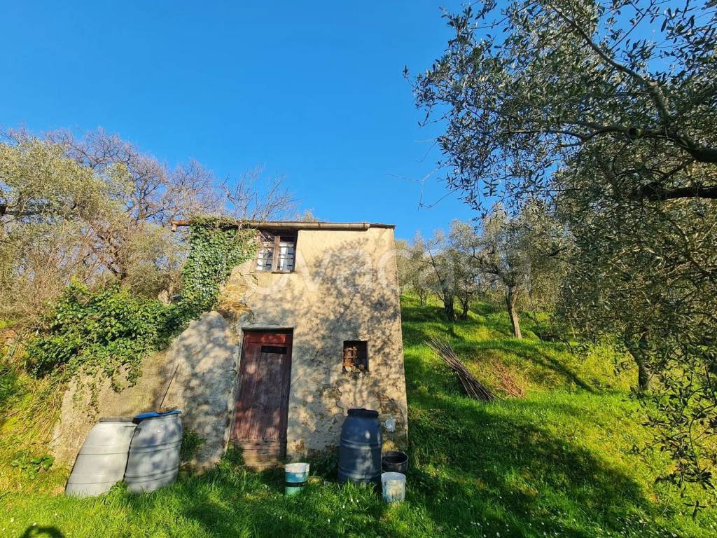 immagine annuncio 2 di 14