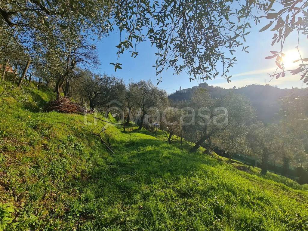 immagine annuncio 3 di 14