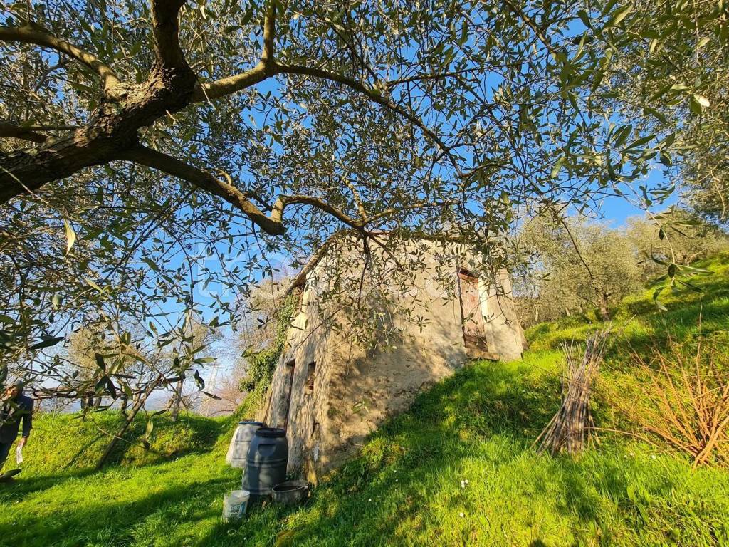 immagine annuncio 4 di 14