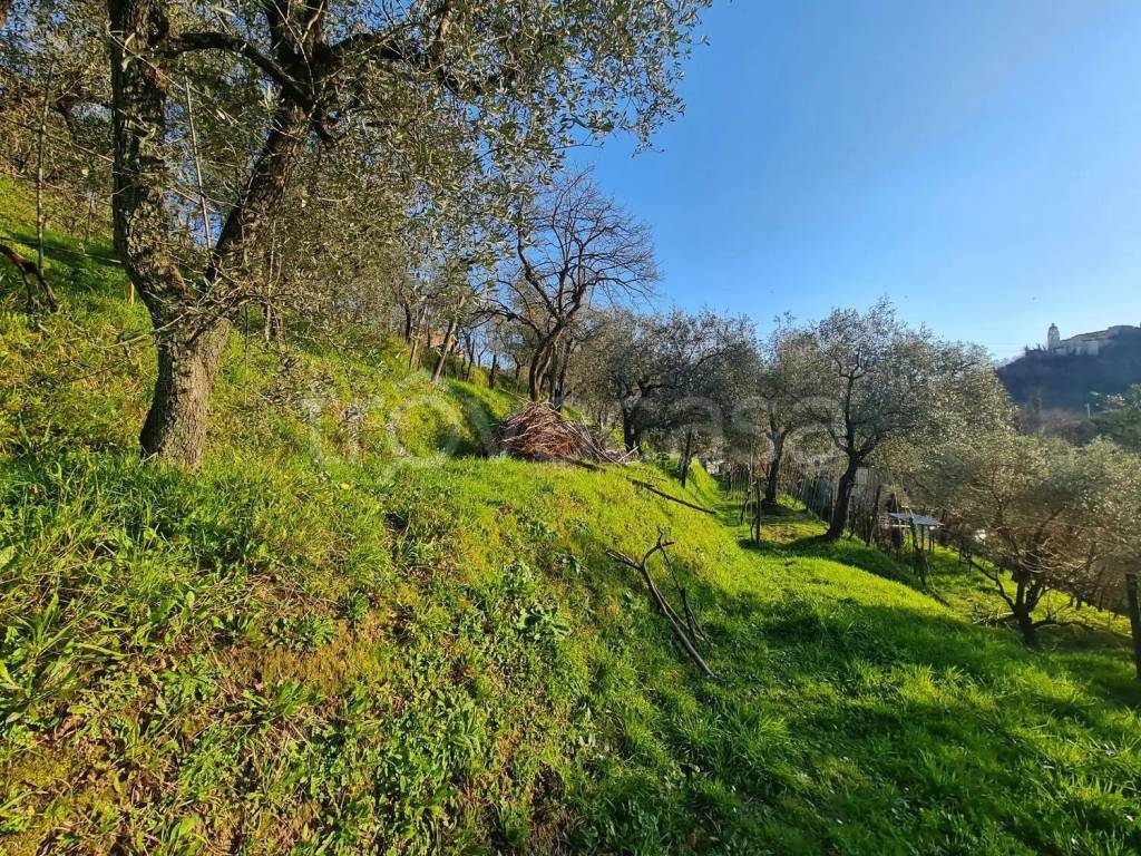 immagine annuncio 6 di 14