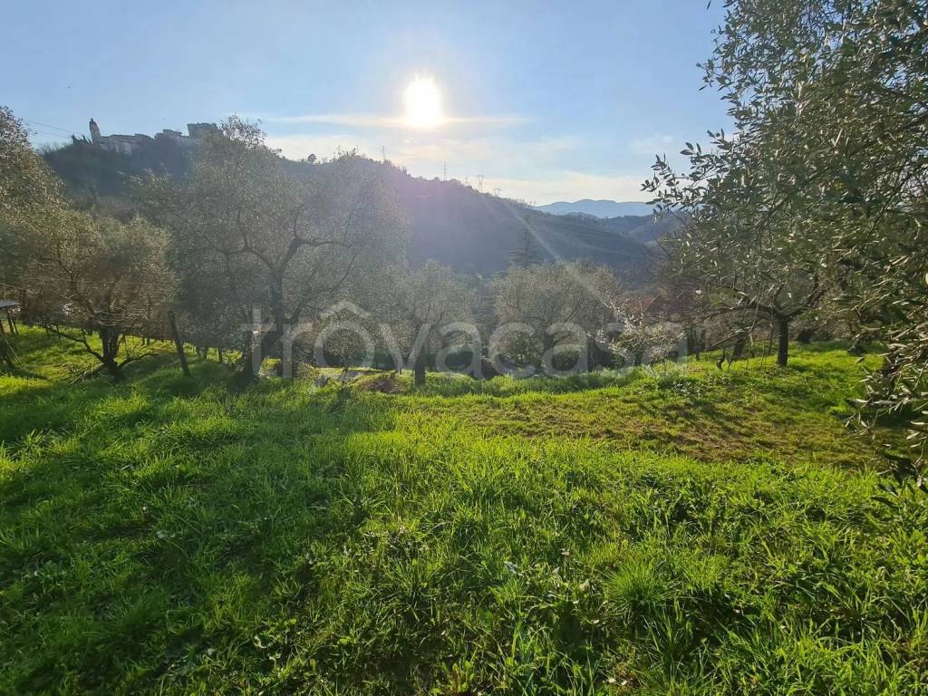 immagine annuncio 7 di 14