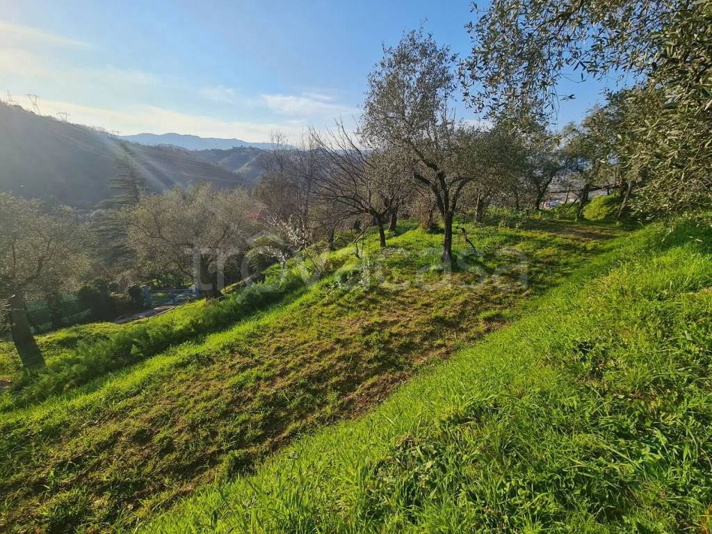 immagine annuncio 8 di 14