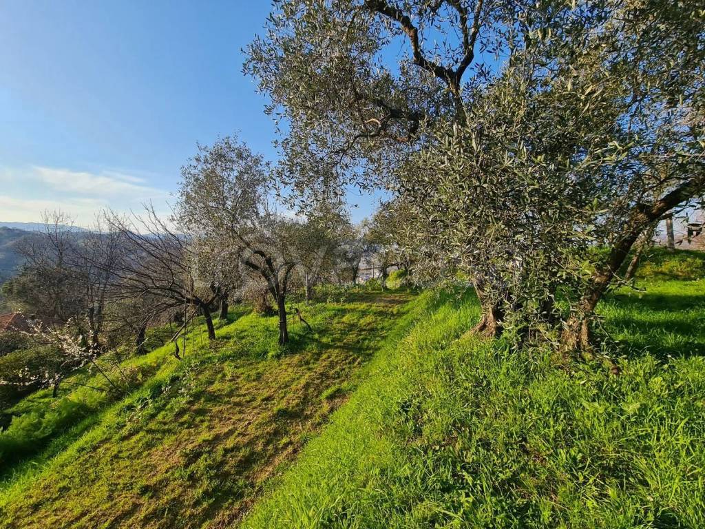 immagine annuncio 10 di 14