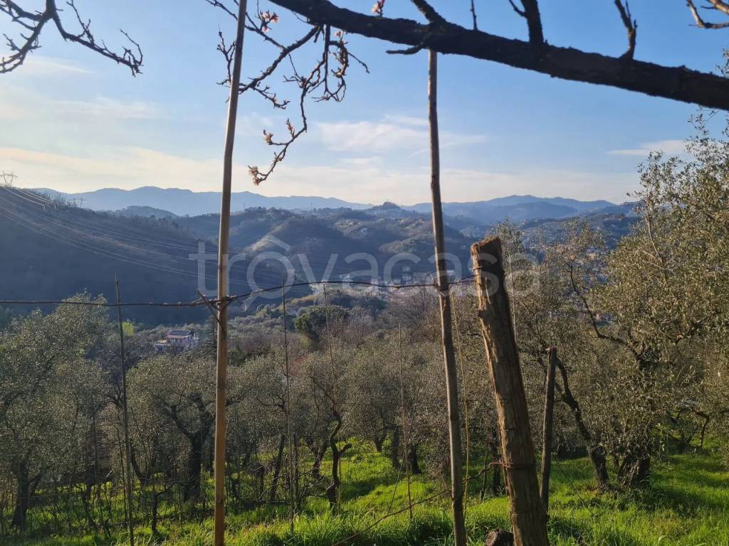 immagine annuncio 13 di 14