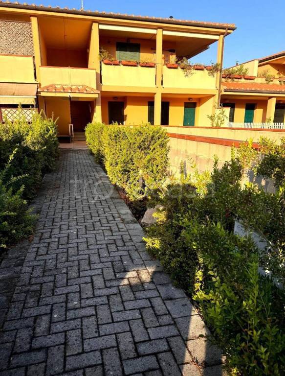 immagine annuncio 2 di 7