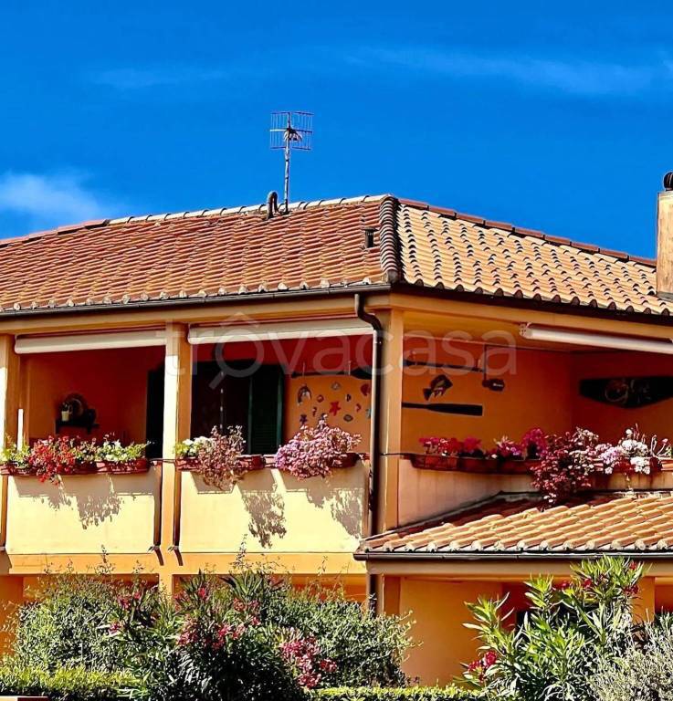 immagine annuncio 3 di 7