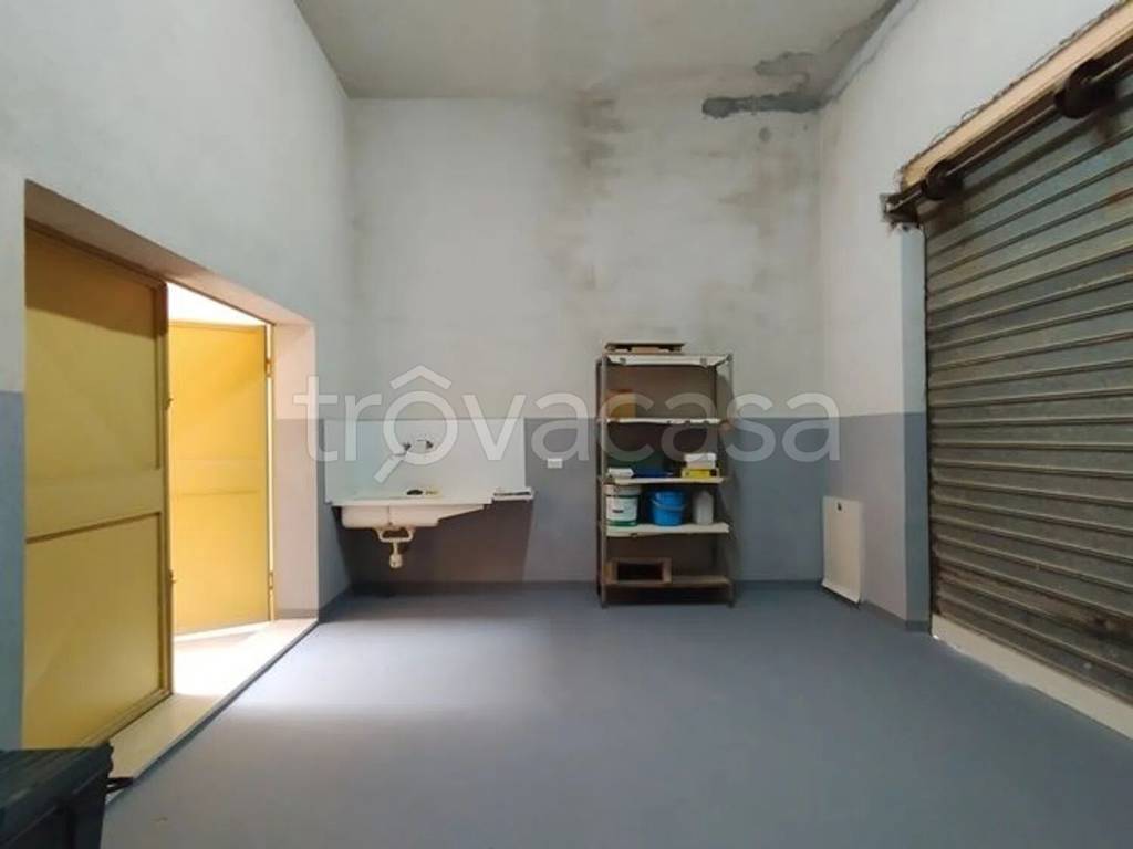 immagine annuncio 11 di 14