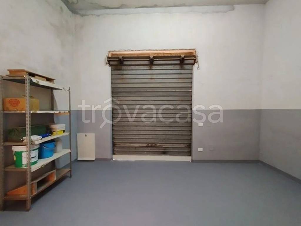 immagine annuncio 12 di 14