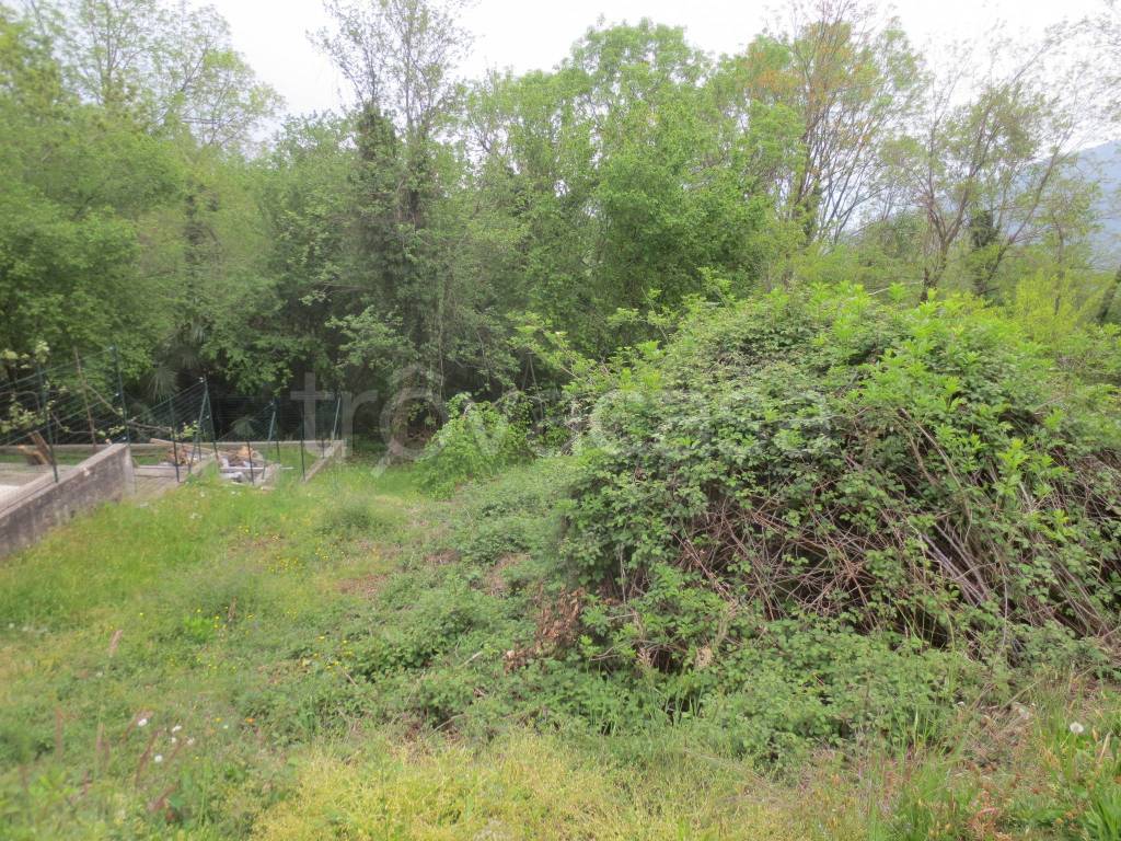 immagine annuncio 1 di 7