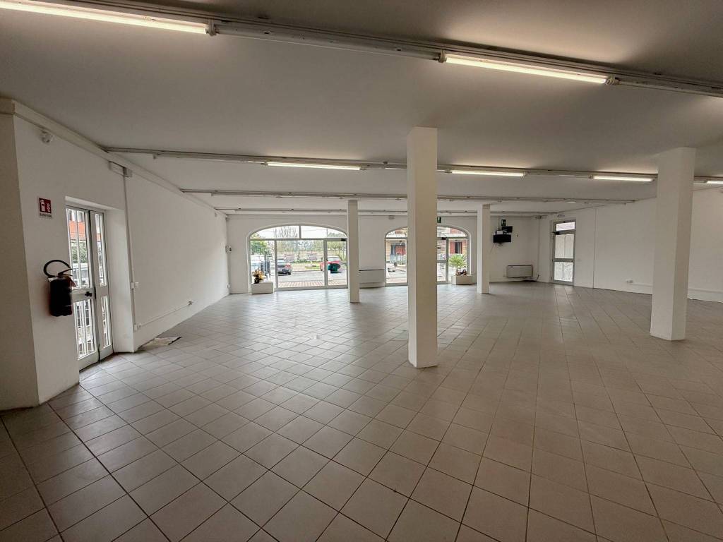 immagine annuncio 7 di 13