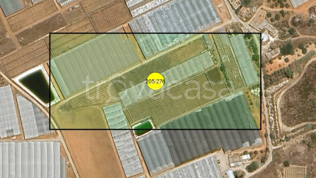 immagine annuncio 11 di 13