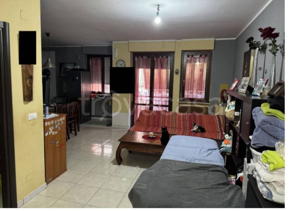 immagine annuncio 8 di 11