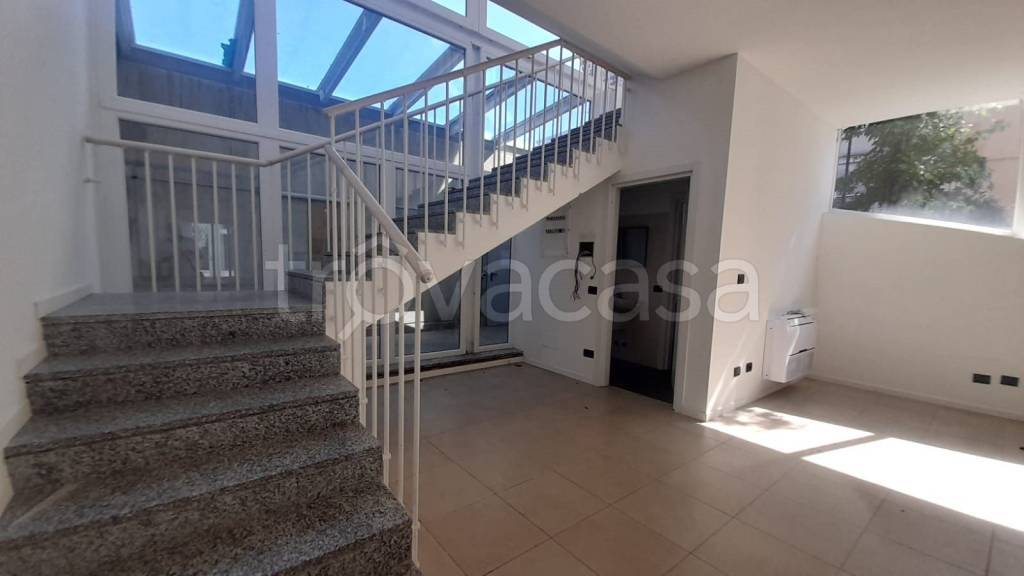 immagine annuncio 6 di 14