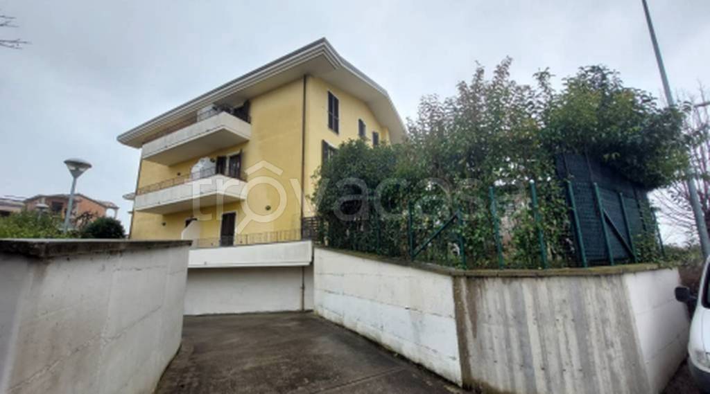 immagine annuncio 12 di 13