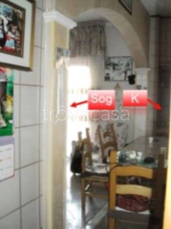 immagine annuncio 7 di 14