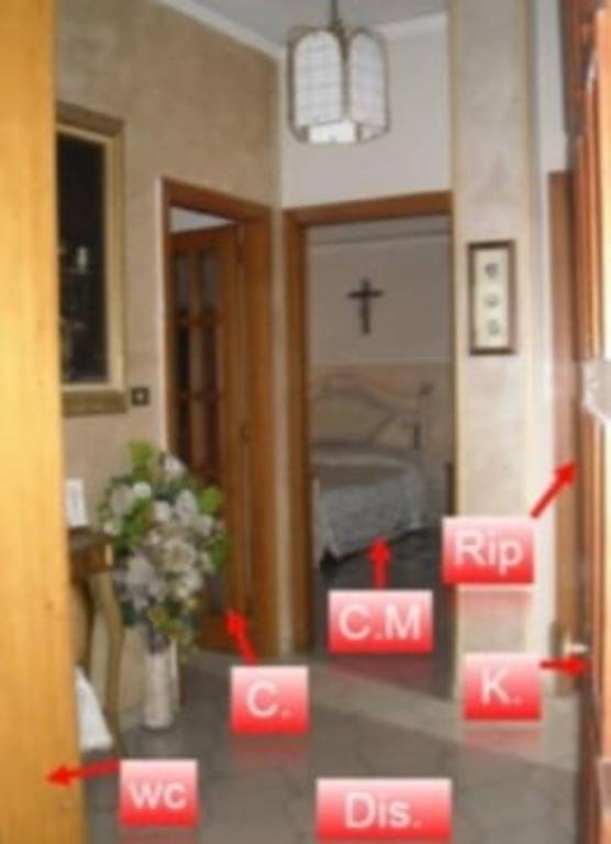 immagine annuncio 8 di 14