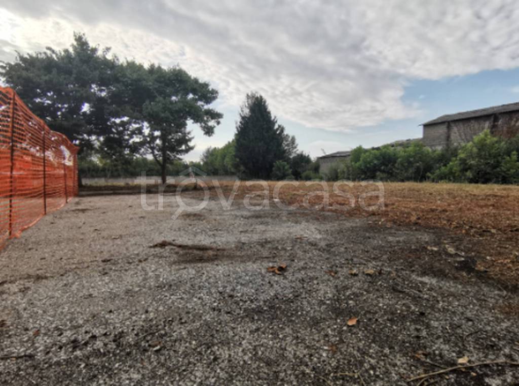 immagine annuncio 3 di 11