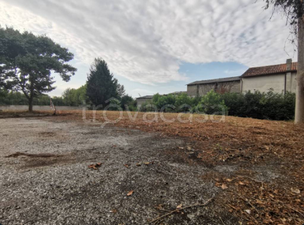 immagine annuncio 4 di 11