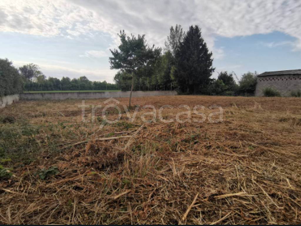 immagine annuncio 5 di 11