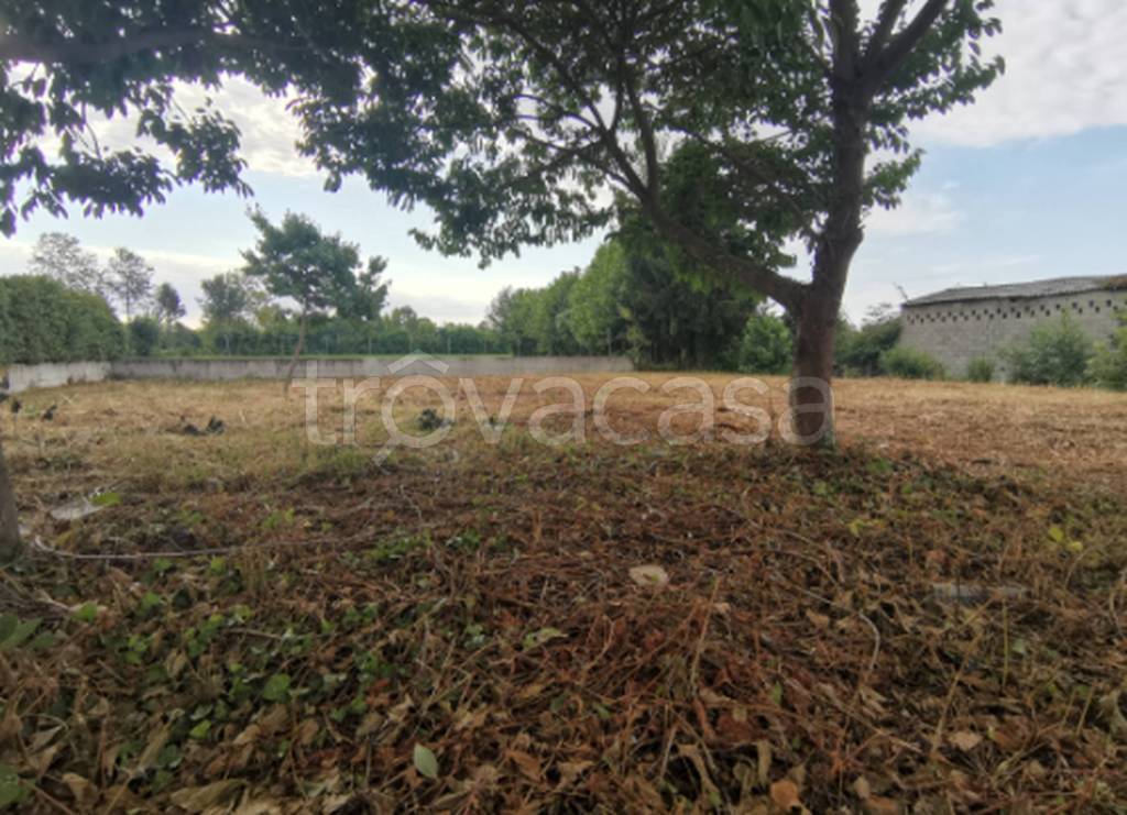 immagine annuncio 6 di 11