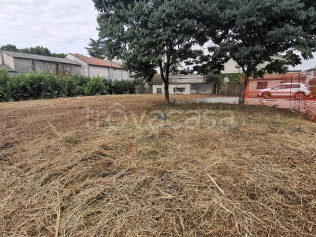 immagine annuncio 7 di 11