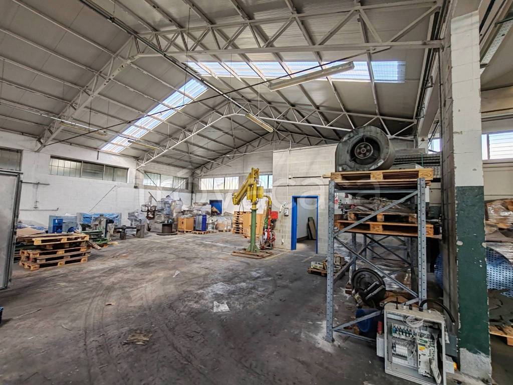 immagine annuncio 9 di 15