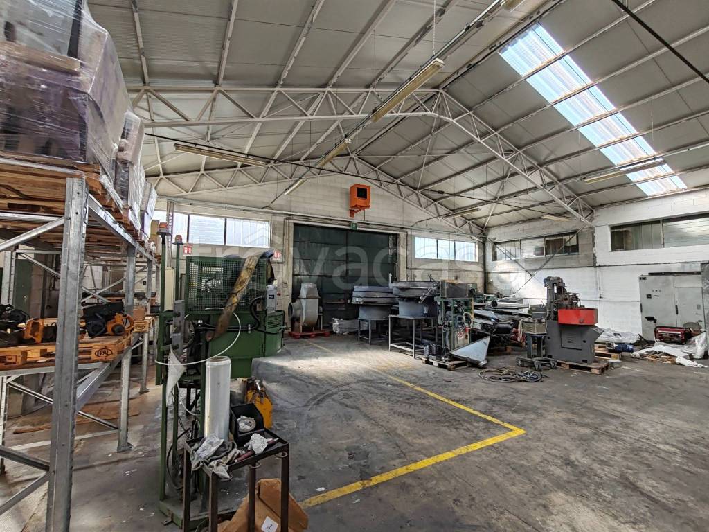 immagine annuncio 11 di 15