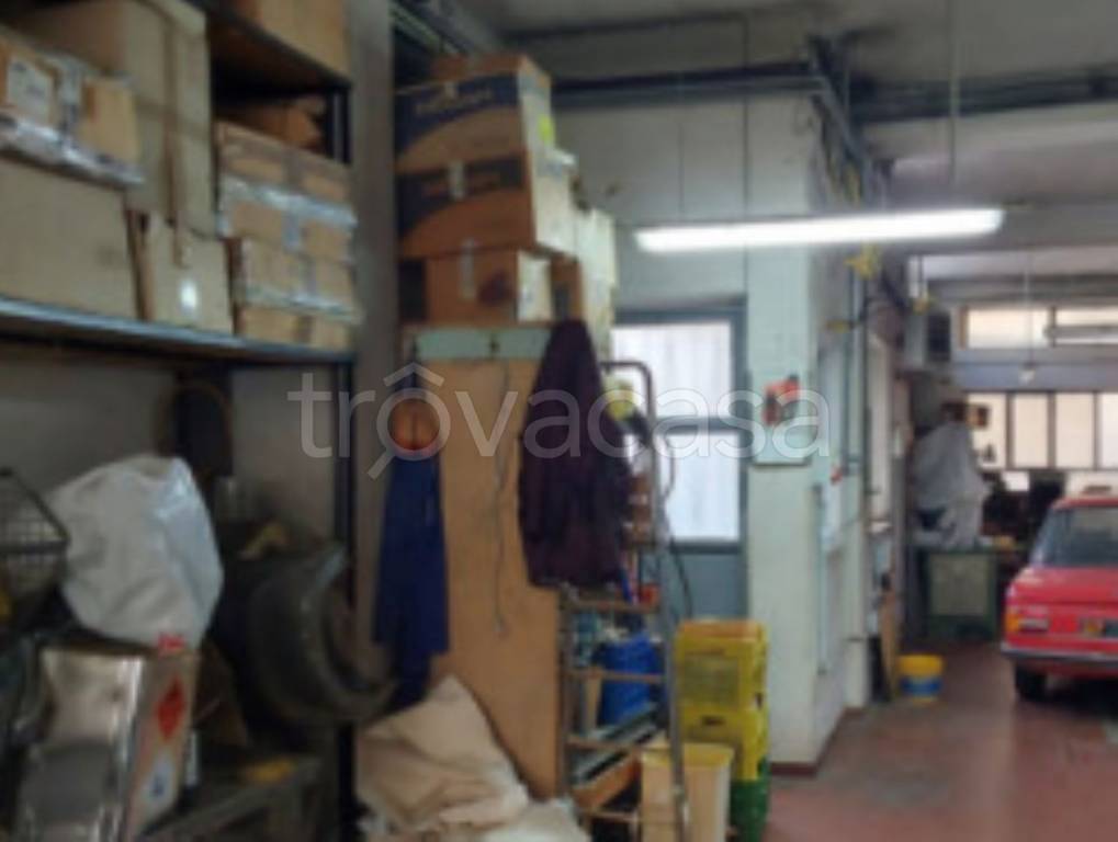 immagine annuncio 3 di 11