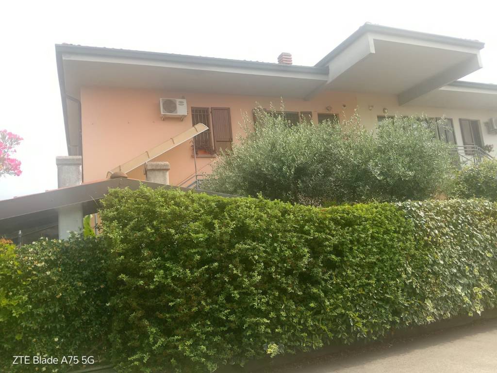 immagine annuncio 1 di 12