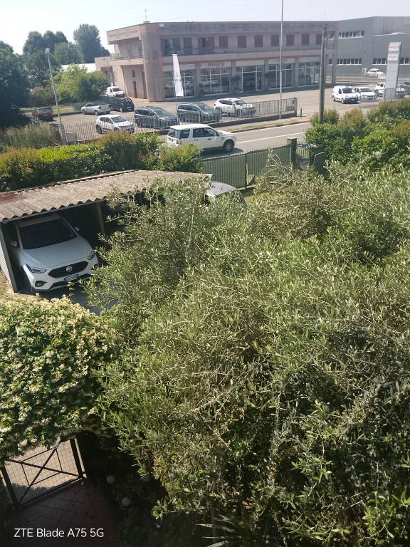 immagine annuncio 2 di 12