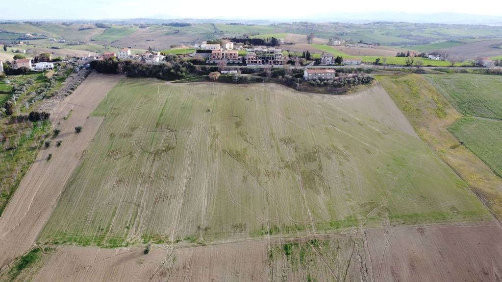 immagine annuncio 8 di 13