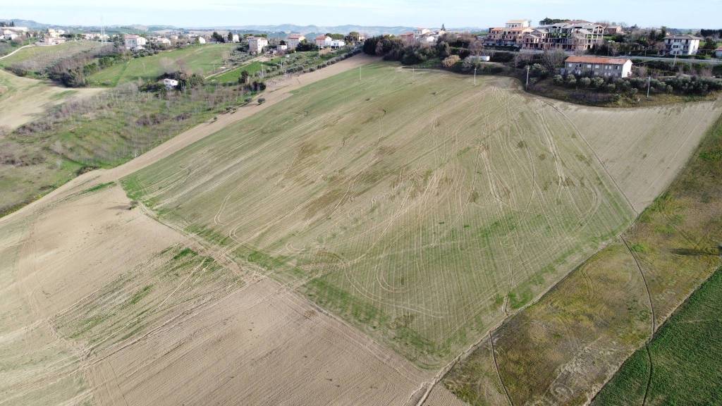 immagine annuncio 10 di 13