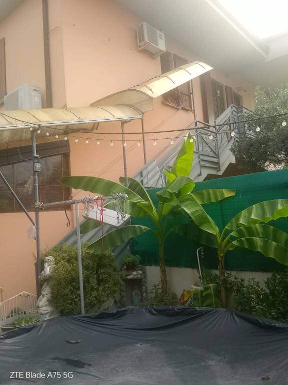 immagine annuncio 10 di 12