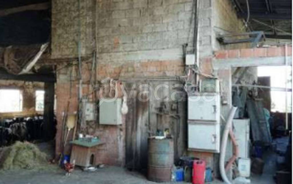 immagine annuncio 2 di 11