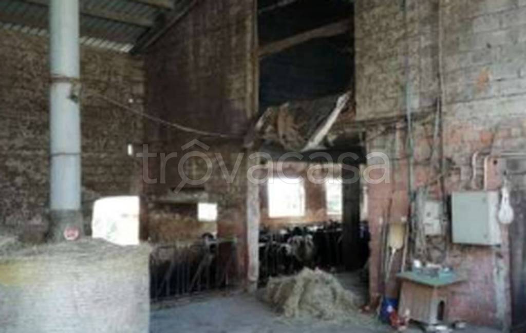 immagine annuncio 4 di 11