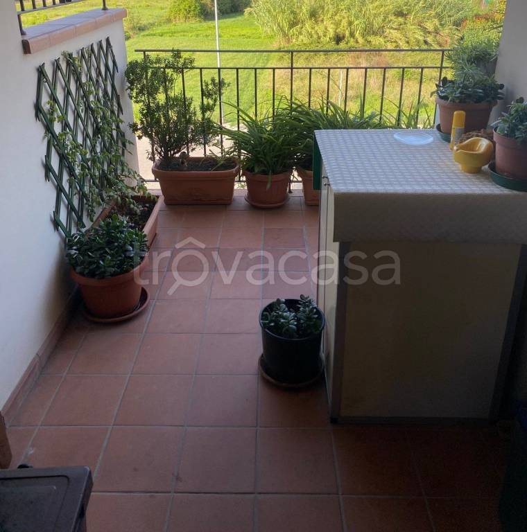 immagine annuncio 10 di 14