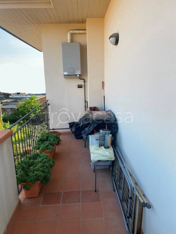 immagine annuncio 12 di 14