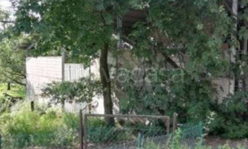 immagine annuncio 6 di 11