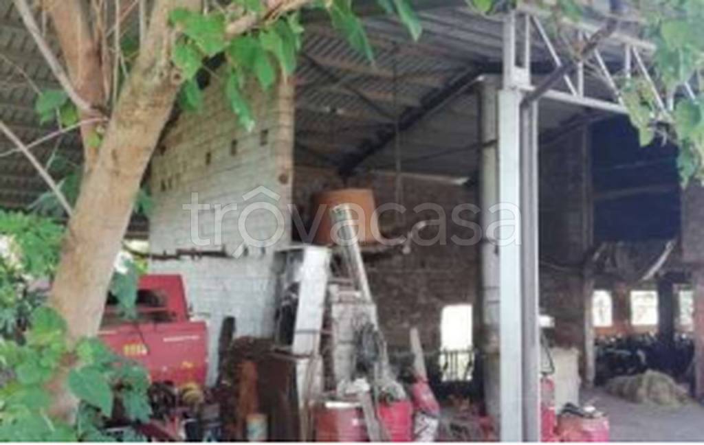 immagine annuncio 7 di 11