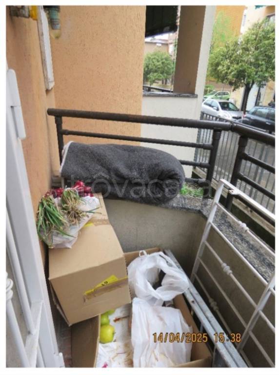 immagine annuncio 7 di 15