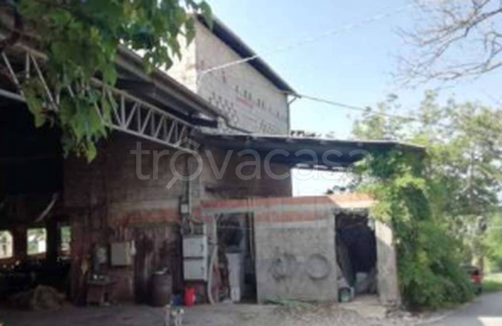 immagine annuncio 9 di 11