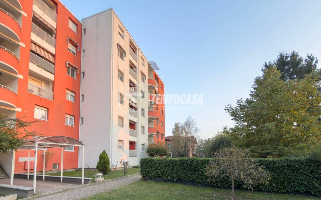 immagine annuncio 8 di 15