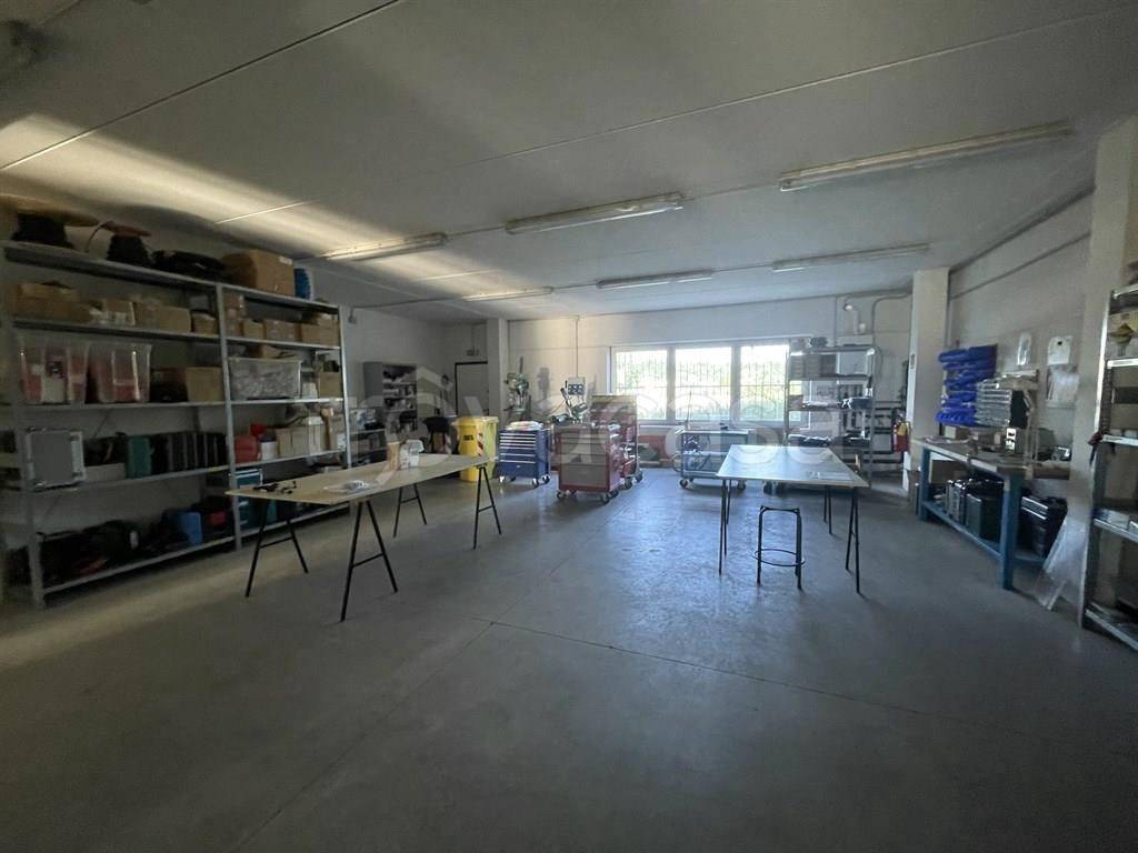 immagine annuncio 2 di 15