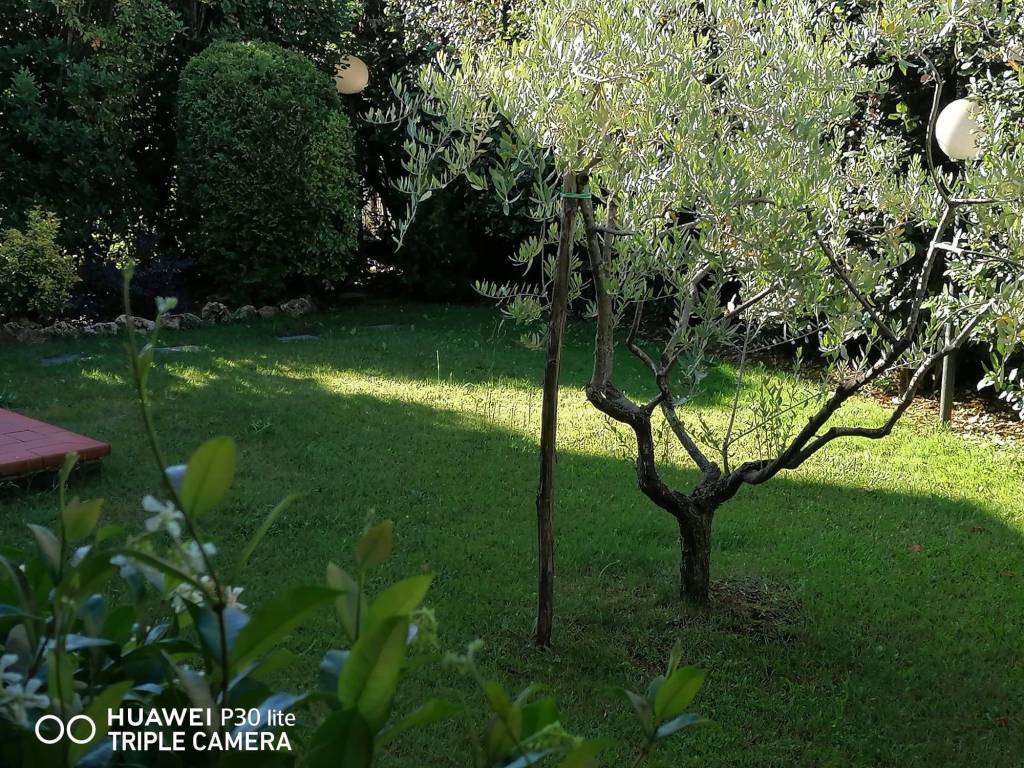 immagine annuncio 8 di 9