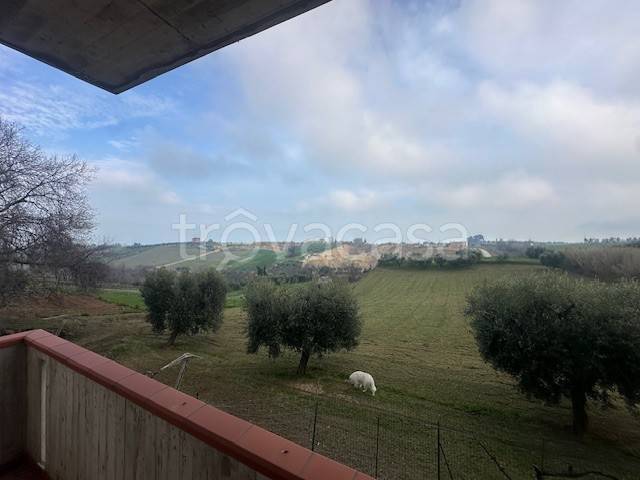 immagine annuncio 11 di 14