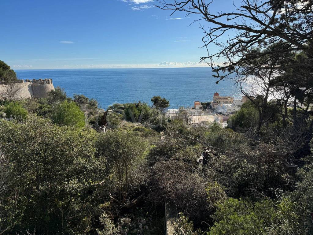 immagine annuncio 4 di 7