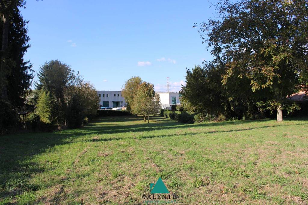 immagine annuncio 4 di 8