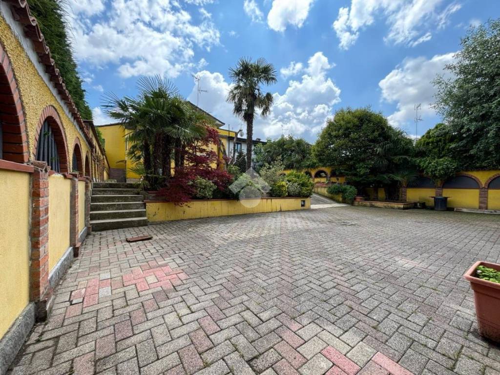 immagine annuncio 9 di 15