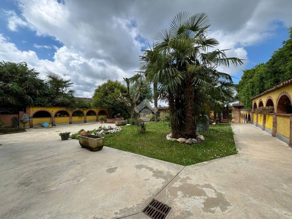 immagine annuncio 10 di 15